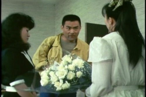 PDVD_001.jpg