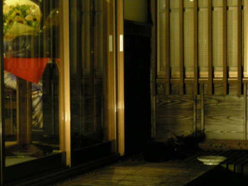 DSCN3558.JPG