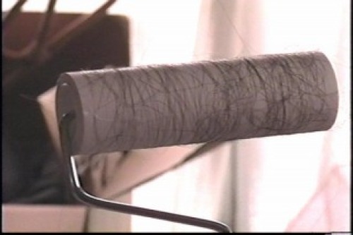 PDVD_018.jpg