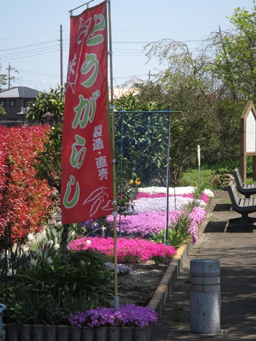 IMG_0124_R.JPG