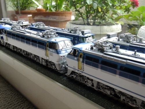 8. ﾑｻｼﾉﾓﾃﾞﾙ.JPG