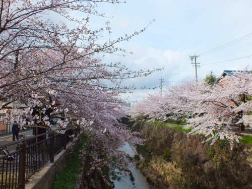 DSCF1408 - コピー.JPG