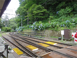 箱根58.jpg