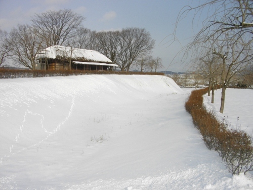 根城中館空堀 (500x375).jpg