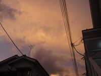 IMG_4680_R.JPG