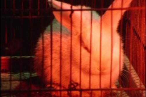 PDVD_003.jpg