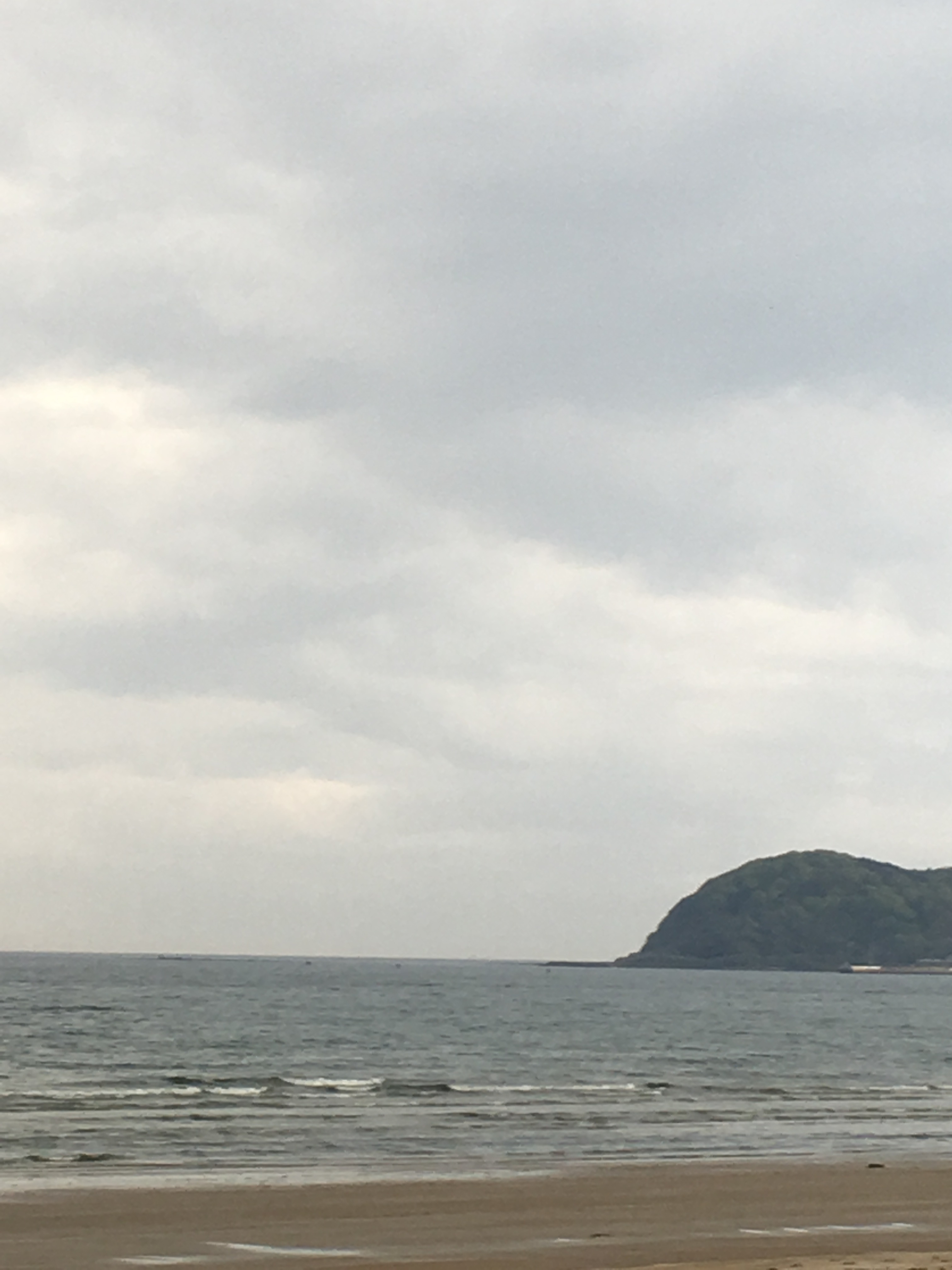 癒されるのは インコ徒然日記 楽天ブログ