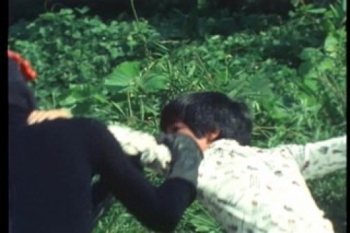 PDVD_002.jpg