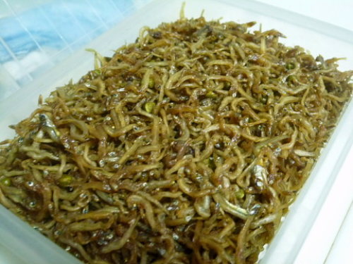 コピー (2) ～ conv0007.jpg