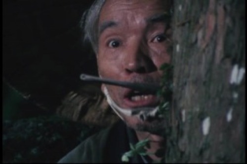 PDVD_028.jpg