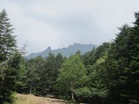 IMG_7700_R.JPG