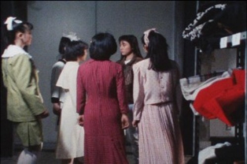 PDVD_102.jpg