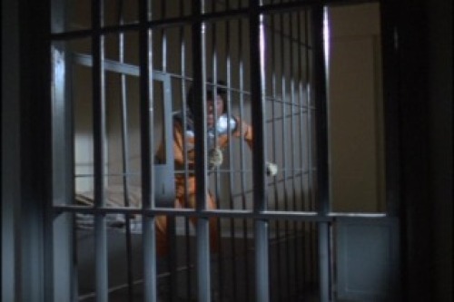 PDVD_030.jpg