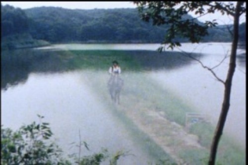 PDVD_007.jpg