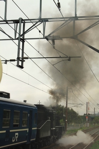 IMG_7461 sl(V.2012_05_08__02_27_57).jpg