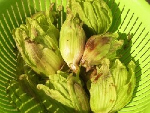 DSCN5743 (300x225).jpg