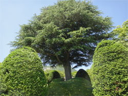 箱根39.jpg