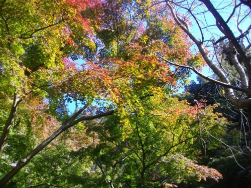 鎌倉天園建長寺半僧坊 (2).JPG