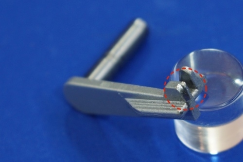 DSC05504 - ハ?ーシ?ョン 2.JPG