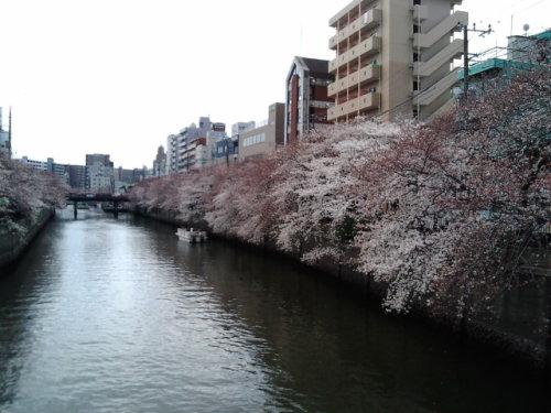 20120407120929.jpg