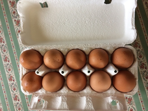 IMG_8309 - コピー.JPG