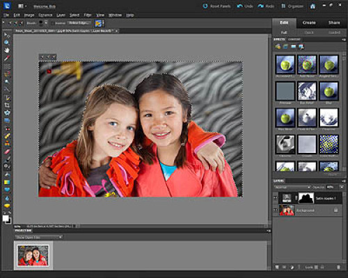 Photoshop Elements 10.jpg