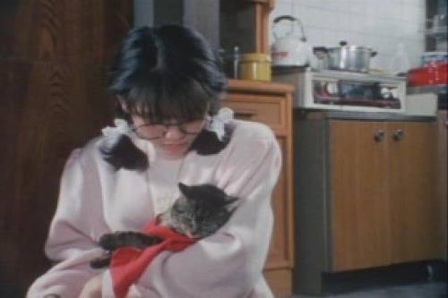 PDVD_032.jpg