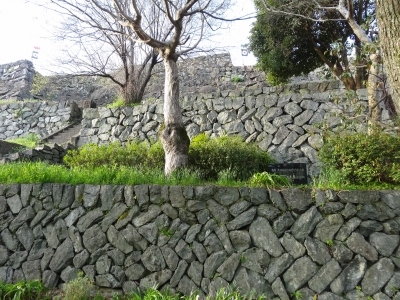 DSC00589.jpg