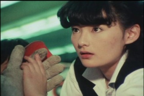PDVD_011.jpg