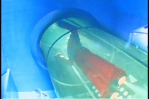 PDVD_034.jpg