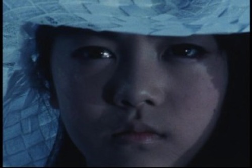 PDVD_040.jpg