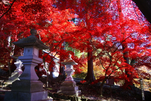 清水寺紅葉と常夜灯２０１２１１月１９日.JPG