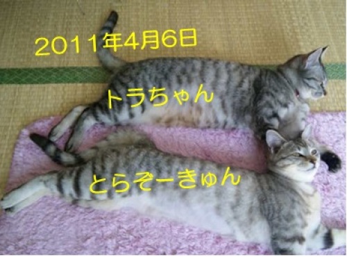 201400130_3.jpg