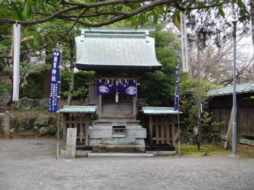 2.2016年桜 宮地嶽神社 (9).JPG