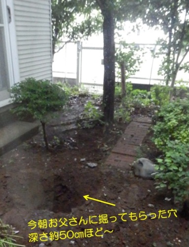 20150622_3.jpg