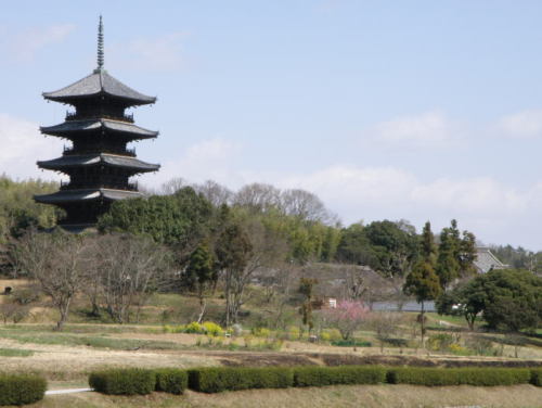 国分寺２.jpg