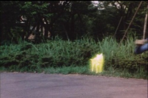PDVD_013.jpg