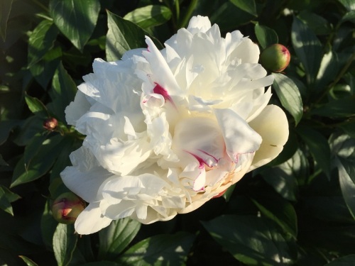 2016-04-30 17.03.27.jpg