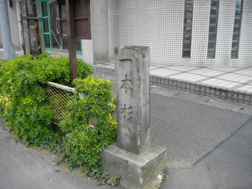 中仙道浦和宿一本杉 (500x375).jpg