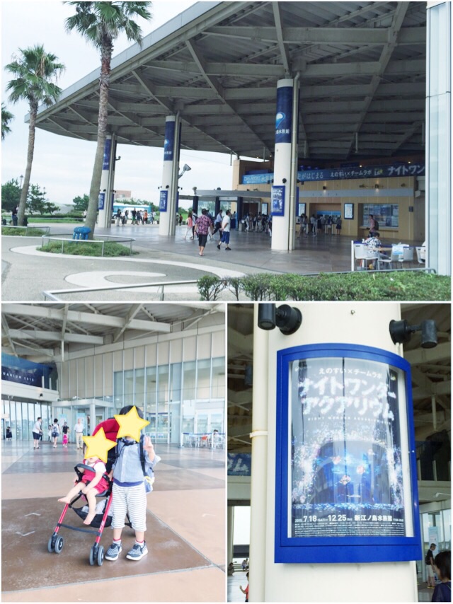 15年江ノ島水族館 チームラボ ナイトワンダーアクアリウムに行って来た Choco Rabbit Blog Vol 2 チョコラビットブログ 楽天ブログ