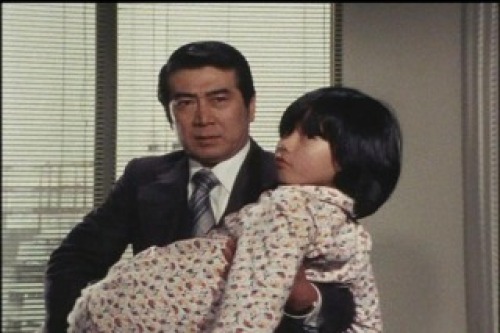 PDVD_004.jpg