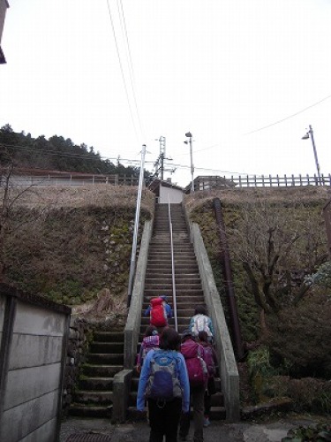 DSCN9926.jpg
