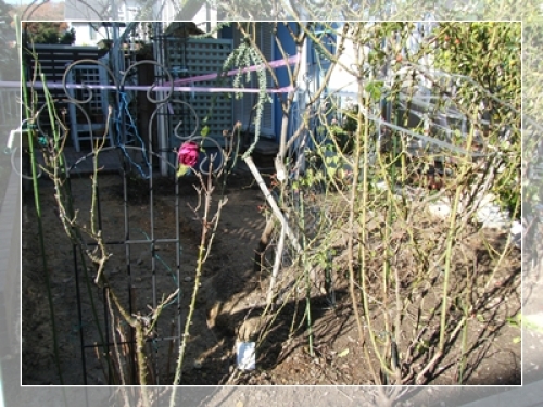 DSCF0719.JPG