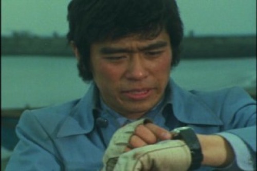 PDVD_013.jpg