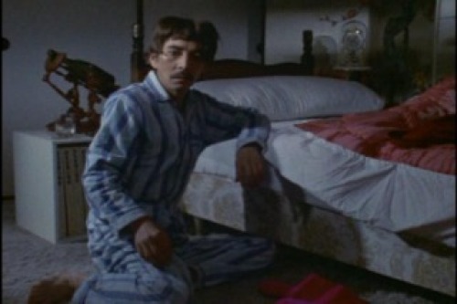PDVD_028.jpg