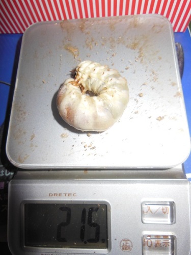 hB4cδ-23-23 (1).JPG