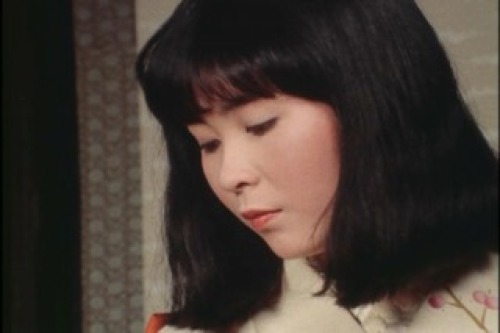 PDVD_002.jpg