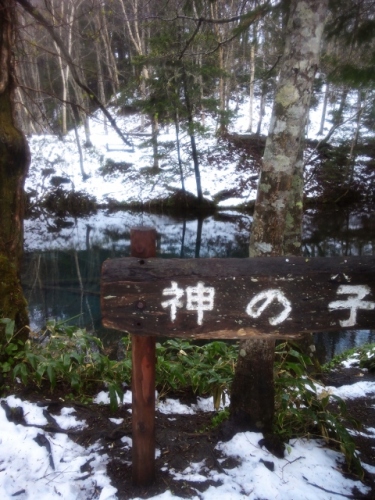 NCM_1829 (480x640).jpg