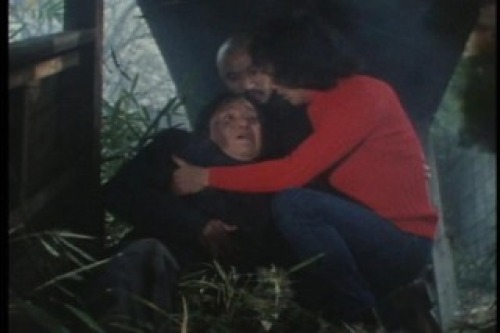 PDVD_001.jpg