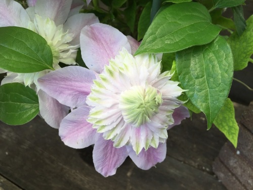 2016-04-30 14.12.05.jpg